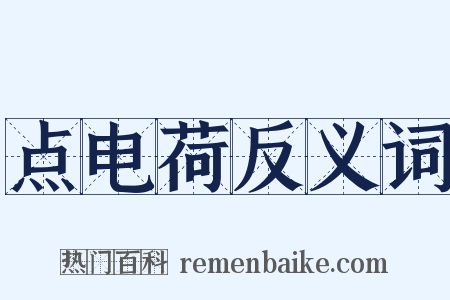 点电荷反义词是什么意思的图片